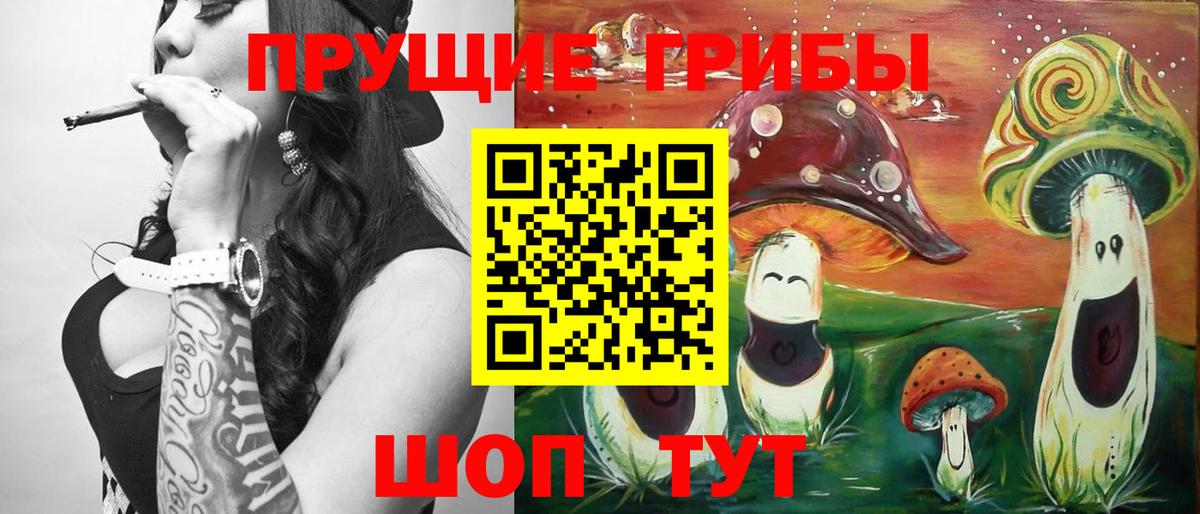 Прокопьевск  Псилоцибиновые грибы прущие грибы  как найти   Вход с VPN 